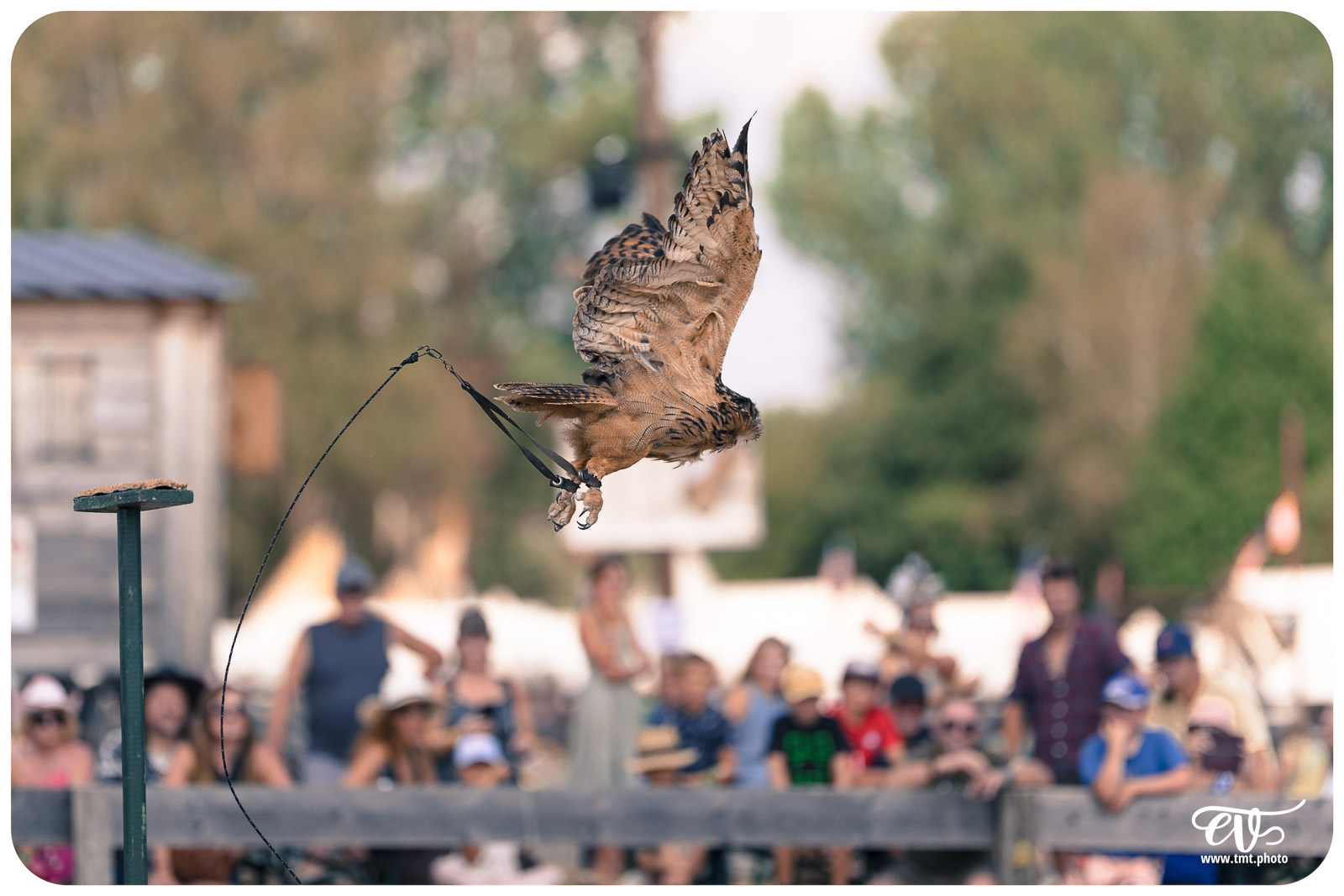 FESTIVAL POW WOW